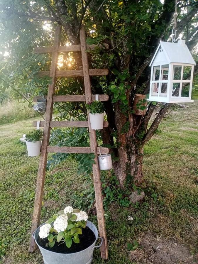 Gite Ferme La Rosee Blanche Ban-de-Laveline Bagian luar foto